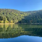 Le Bois Des Neiges Authentique A 5 Mn De Gerardmer Σαλέ Xonrupt-Longemer