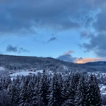 Chalet Le Bois Des Neiges Authentique Proche Gérardmer *