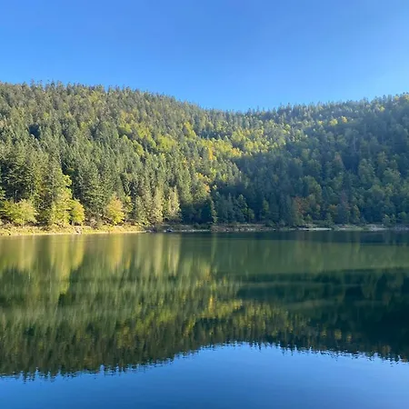 Le Bois Des Neiges Authentique A 5 Mn De Gerardmer Chalet Xonrupt-Longemer