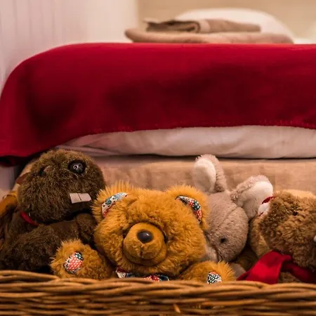 Le Bois Des Neiges Authentique A 5 Mn De Gerardmer