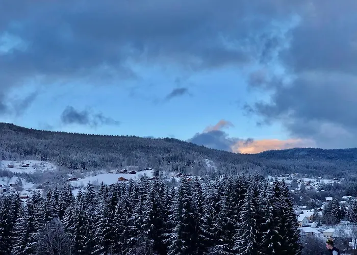 Horská chata Le Bois Des Neiges Authentique A 5 Mn De Gerardmer *