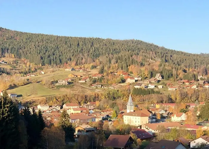 Le Bois Des Neiges Authentique à 5 Mn De Gérardmer Xonrupt-Longemer
