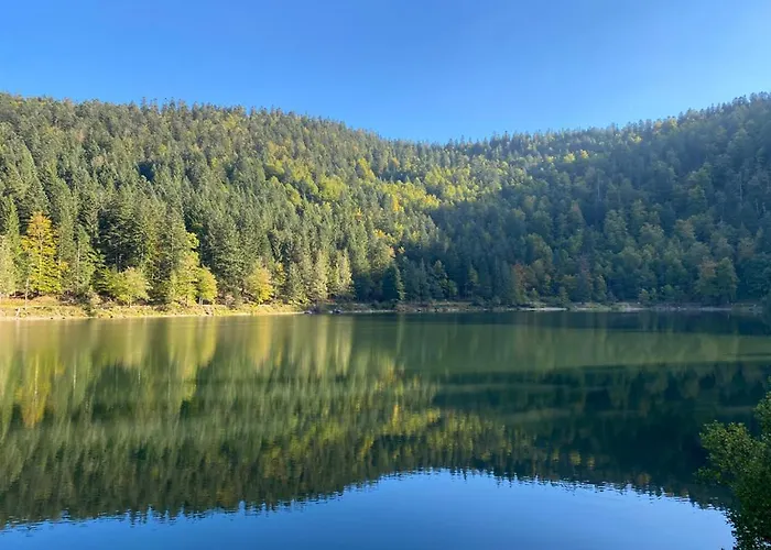 Le Bois Des Neiges Authentique A 5 Mn De Gerardmer Horská chata Xonrupt-Longemer