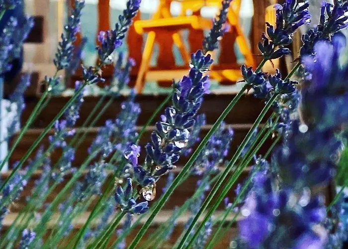 Le Bois Des Neiges Authentique à 5 Mn De Gérardmer