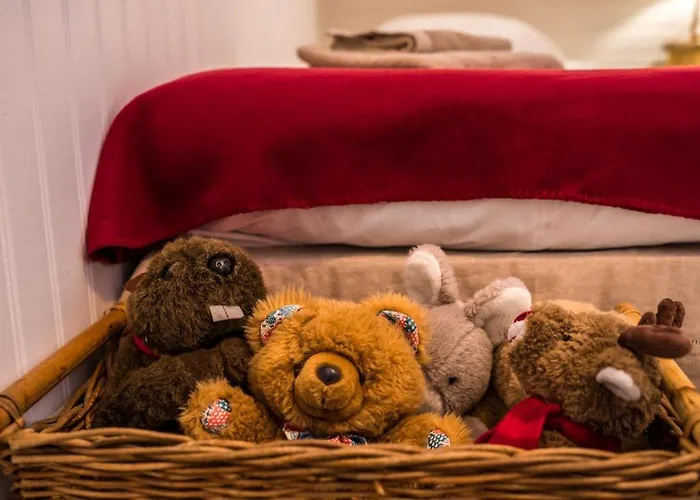 Le Bois Des Neiges Authentique A 5 Mn De Gerardmer